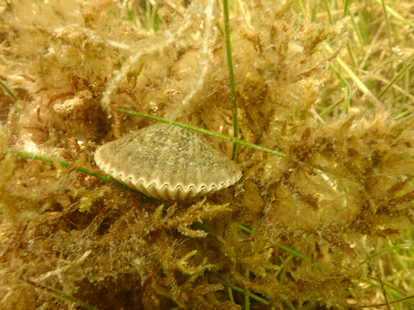 P7140748