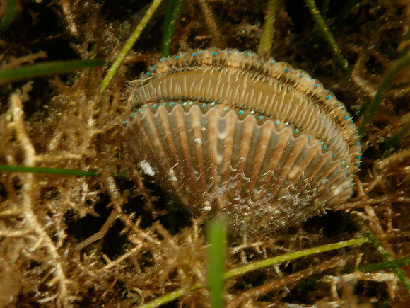 P7130650