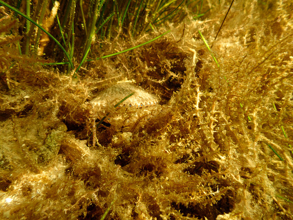 P7130635