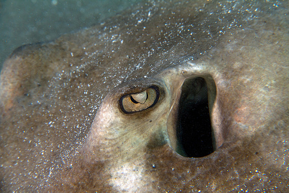 _MG_1779-Edit