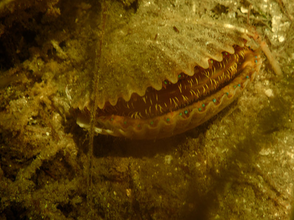 P7130604