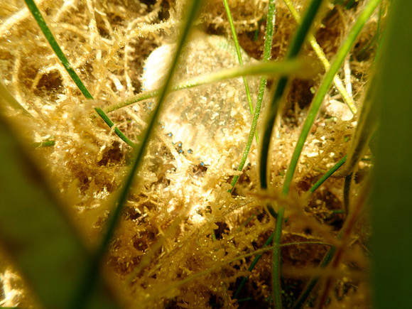 P7140743