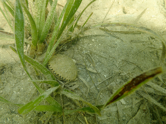 P7160840