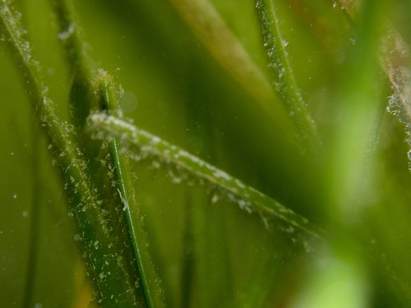 P7120539