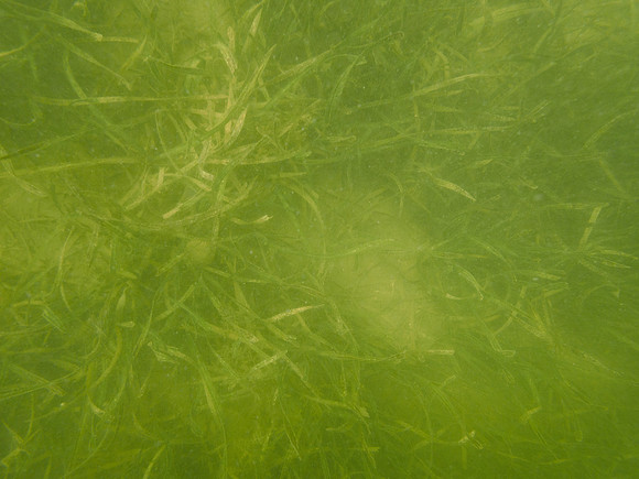 P7170865