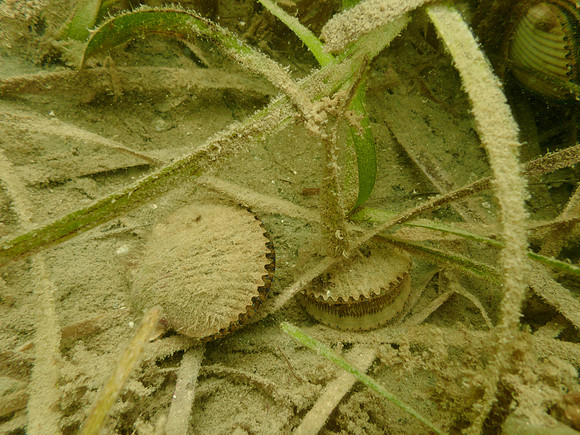 P7150775