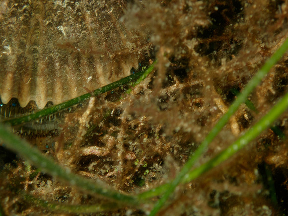 P7120538