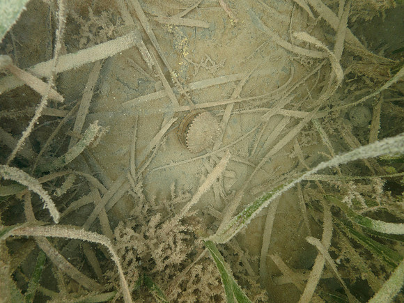 P7150769