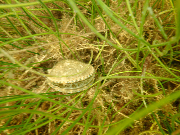 P7130646
