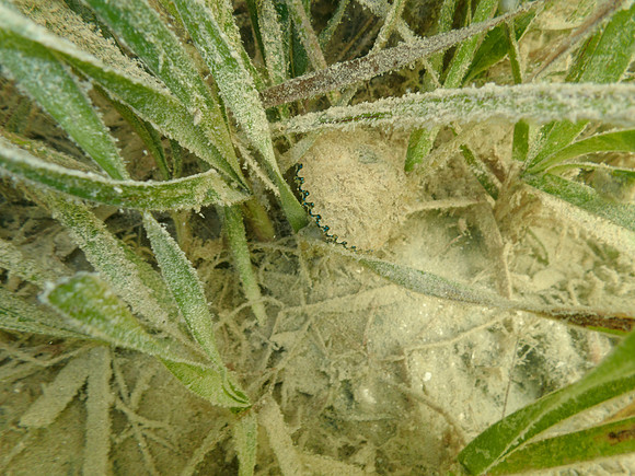 P7150765