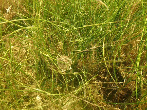 P7130623