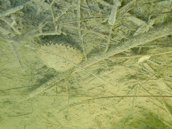 P7160836
