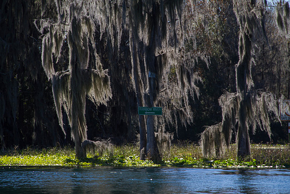 IMG_0205