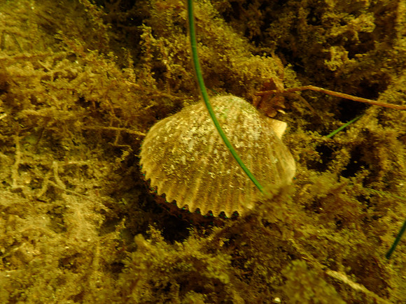 P7120544