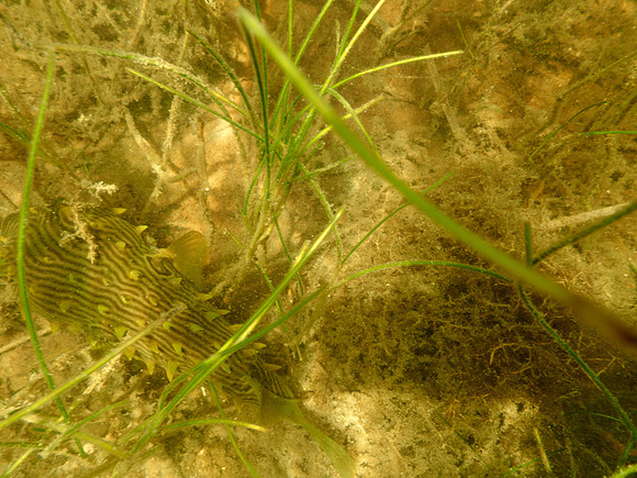 P7130586