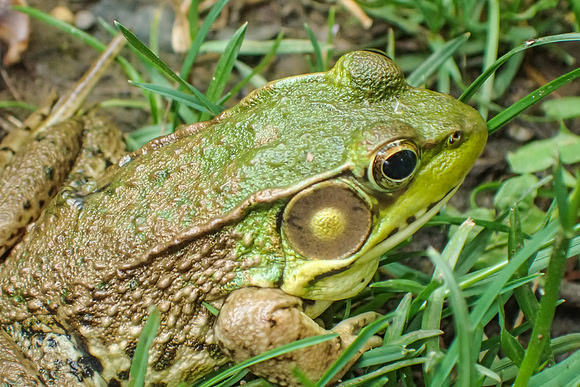 P5300162