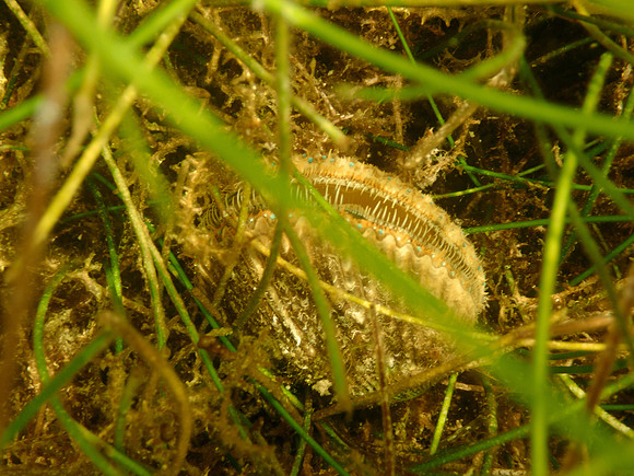 P7140714