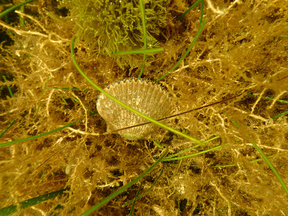 P7140669