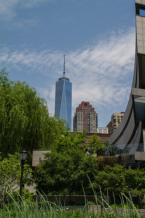 _MG_1586