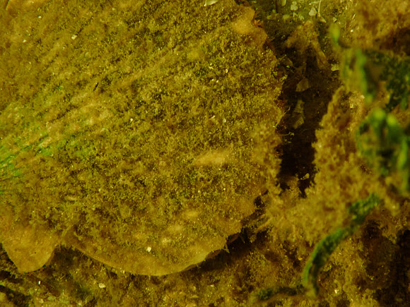 P7120554
