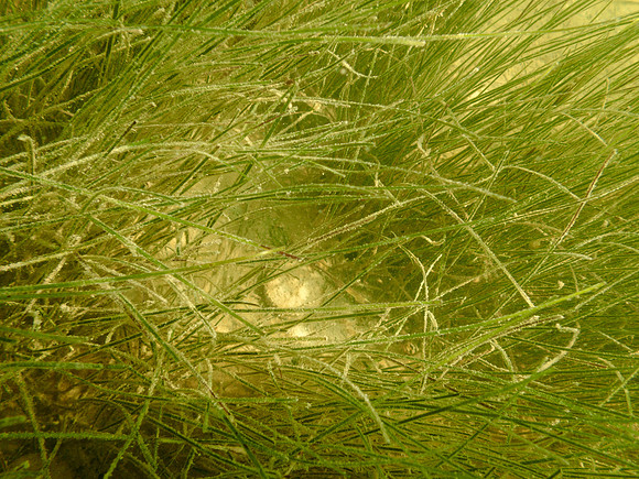P7150790