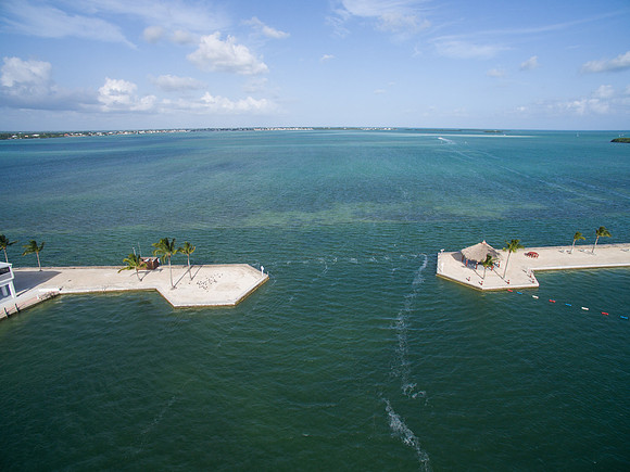 DJI_0567