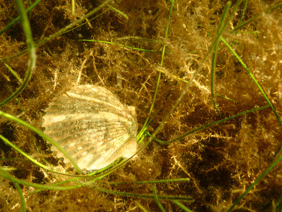 P7130638