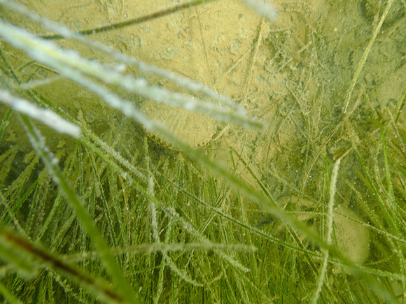 P7160813