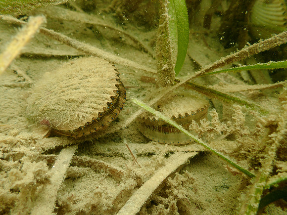 P7150776