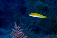 IMG_5261-Edit