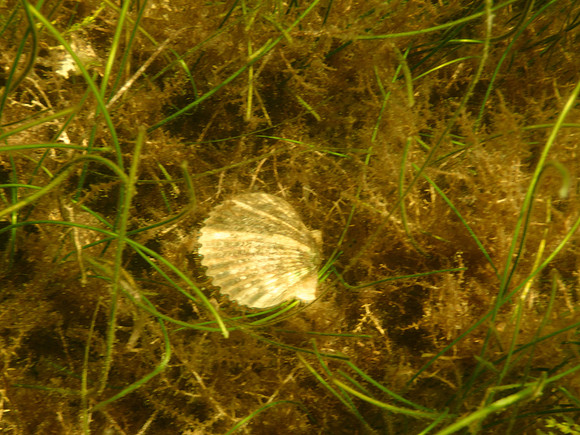 P7130637