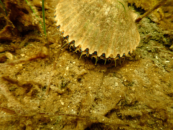 P7140709