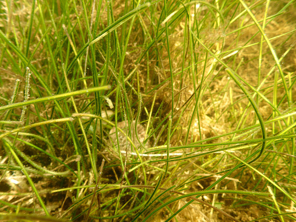 P7130620