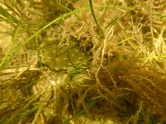 P7130582