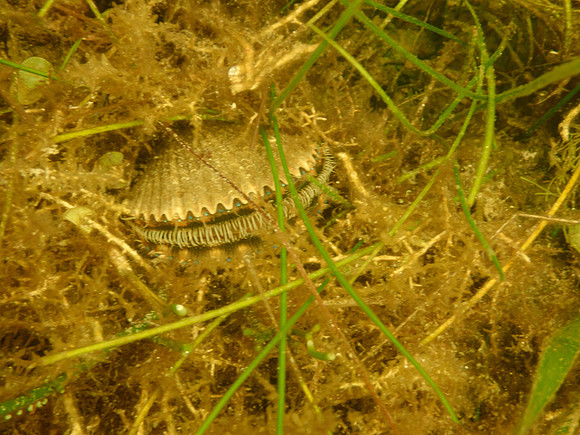 P7140671