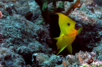 IMG_5277-Edit
