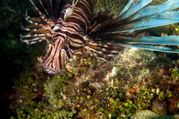 _MG_9574-Edit