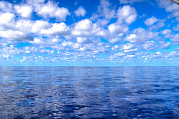 R6226849_50_51
