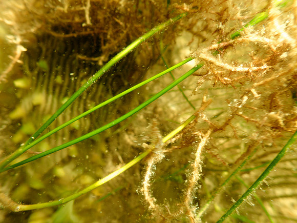 P7130584