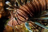 _MG_9578-Edit