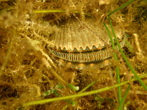 P7140673