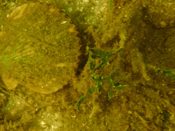 P7120555