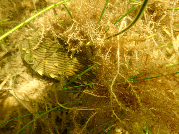 P7130583