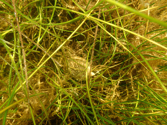 P7140713
