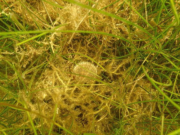 P7140703