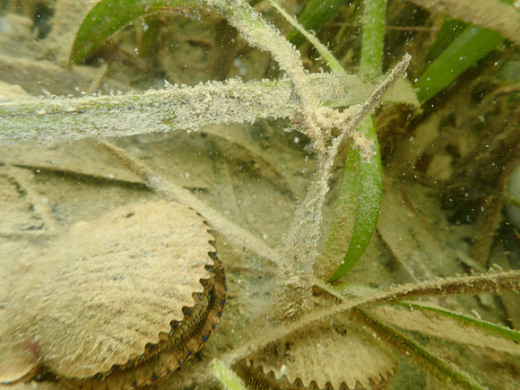 P7150781