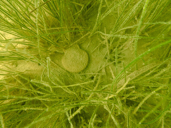 P7170864
