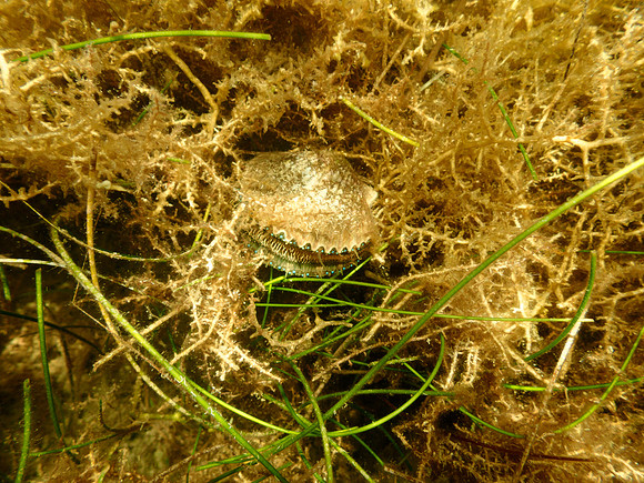 P7140719