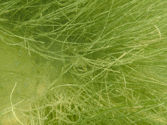 P7160811