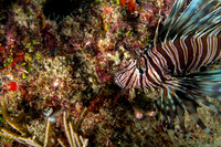 _MG_9572-Edit